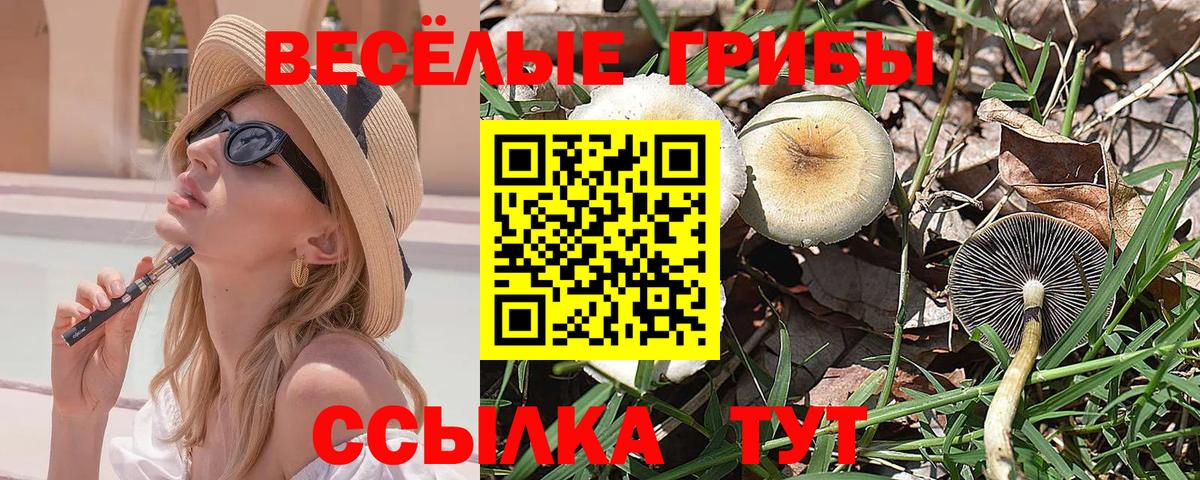 Псилоцибиновые грибы MAGIC MUSHROOMS  Вход с VPN  Советская Гавань  дарнет шоп  Псилоцибиновые грибы Magic Shrooms 