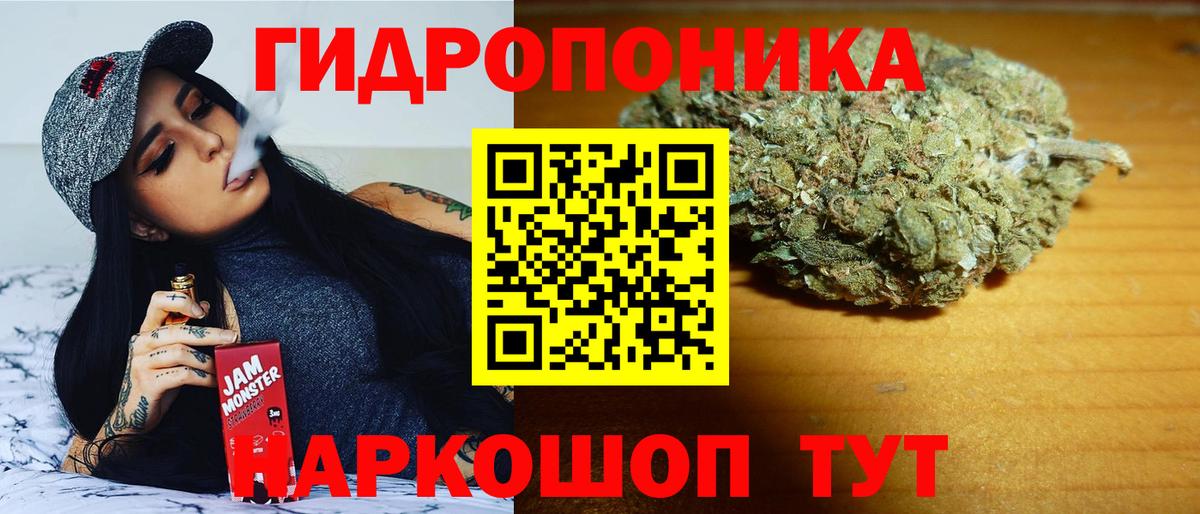 Каннабис White Widow Советская Гавань